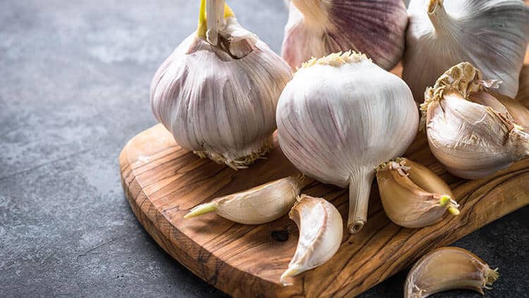 Dikkat: Koronavirüs Hakkında Çıkan Yanlış Bilgilere Kulak Asmayın!