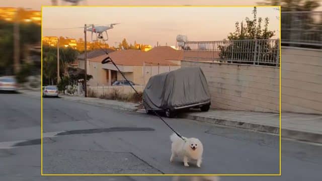 Köpeğini Drone ile Gezdirdi!