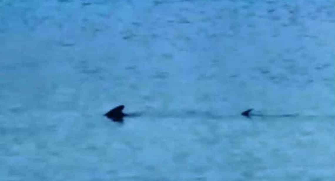 Çeşme Ve Bodrum’da Çekilen Görüntülere İlişkin Açıklama