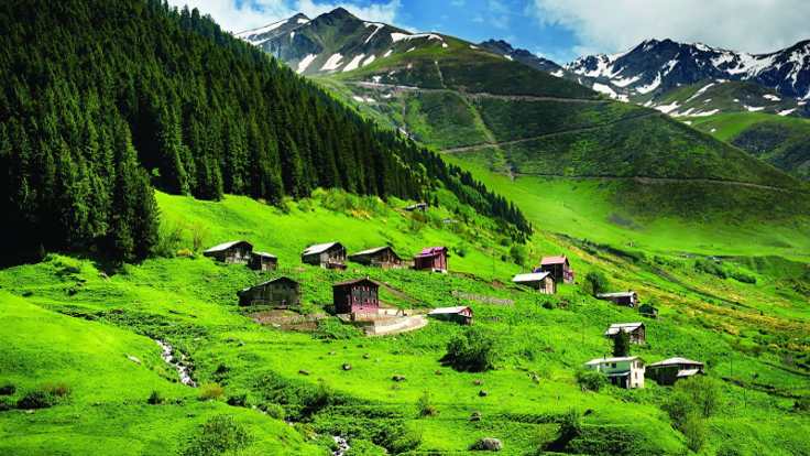 Giresun’da Yaylaya Karantina Kararı!