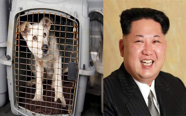 Kim Jong-Un'dan 'Korkunç Talimat' İddiası!