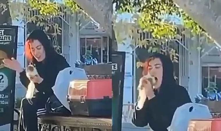 Evcil Hayvanını Önce Tokatladı Sonra Isırmaya Çalıştı!