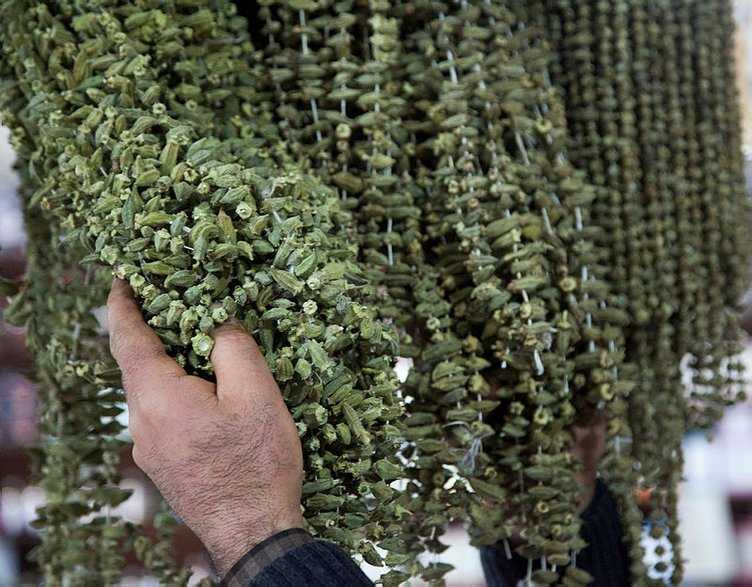 Kuru Bamya 200 TL’ye Satılıyor!