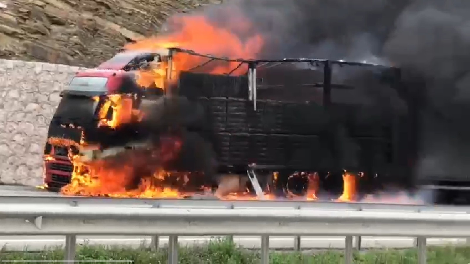 600 Bin Liralık Pamuk Cayır Cayır Yandı