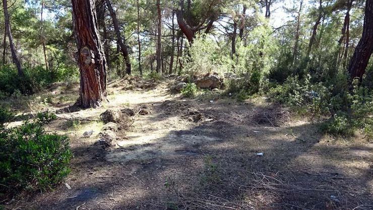 Cani Kocadan Kan Donduran İtiraf!