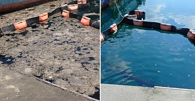 Müsilaj Sorununa Doğal Çözüm Bulundu!