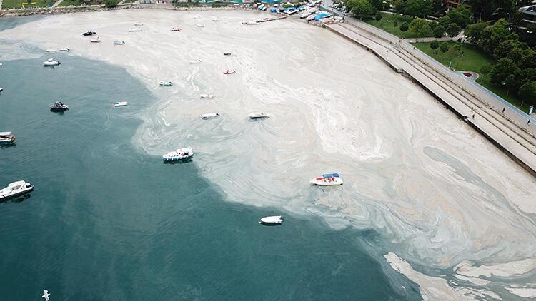 Müsilaj Sorunu TÜBİTAK’ın 2 Yıl Önceki Raporunda Varmış!