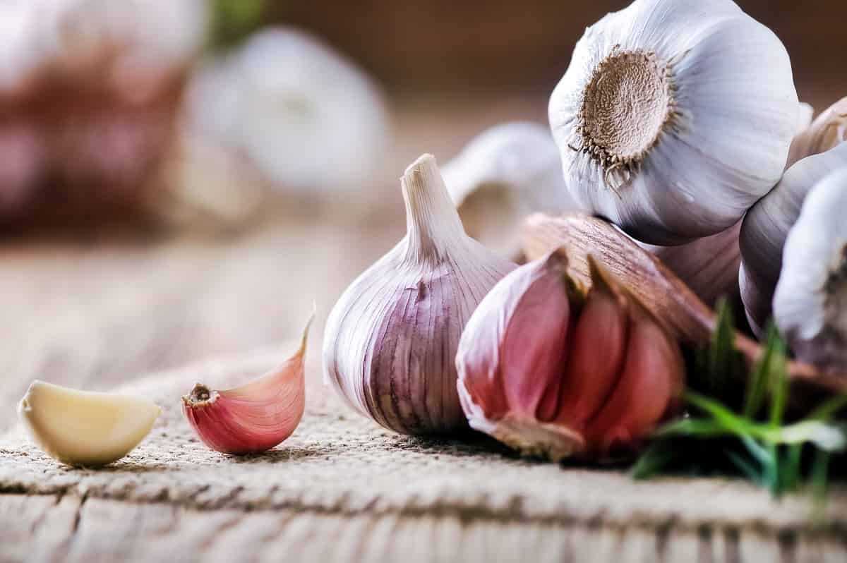 Sarımsağın Saça Faydaları Nelerdir? Sarımsak Saç Çıkarır Mı?