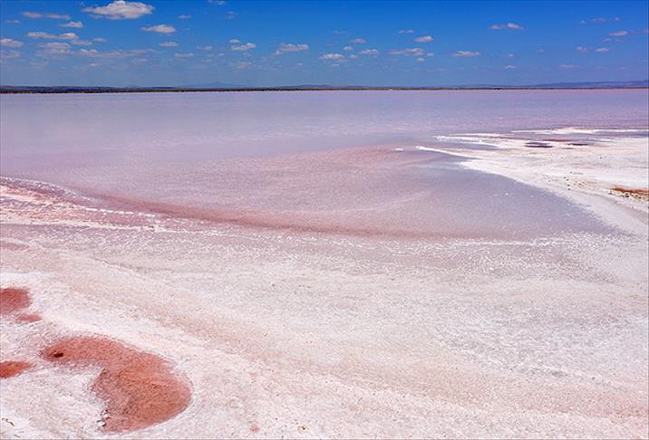 Doğa Alarm Veriyor: Tuz Gölü’nden Kötü Haber!