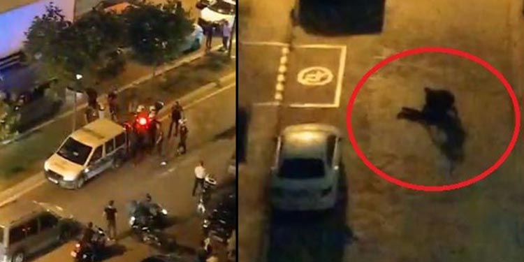 112 Ambulans Ekibine Bıçaklı Saldırı!