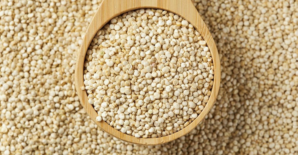 Mucizevi Besin Kinoa'nın Faydaları
