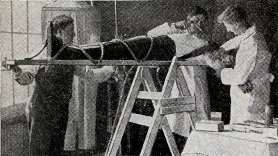 Ölü Canlıları Hayata Döndüren Deney