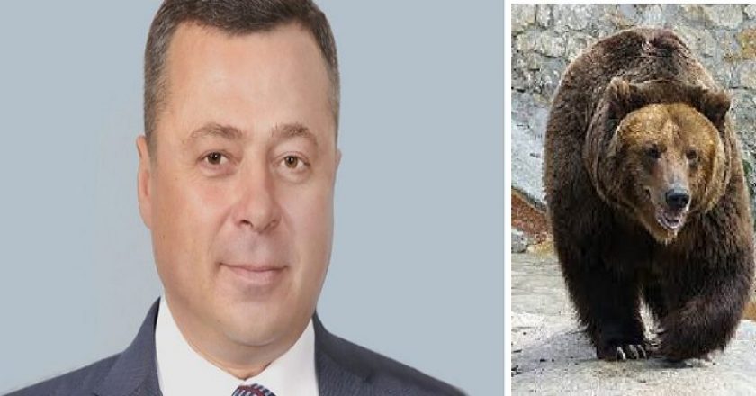 Rus Milletvekili Ayı Sandığı Kişiyi Vurdu!