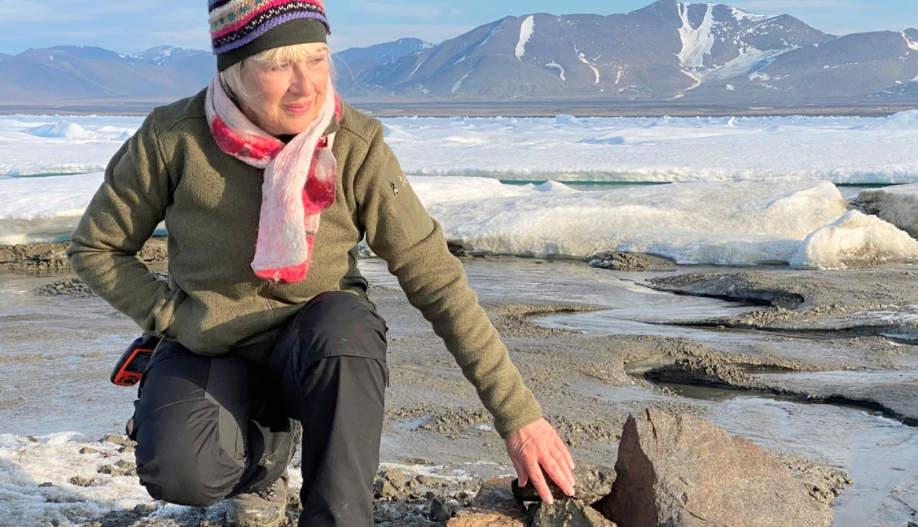 Yanlışlıkla Dünyanın En Kuzeyindeki Ada Keşfedildi