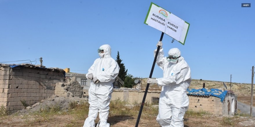 Adıyaman’da Kuduz Paniği!