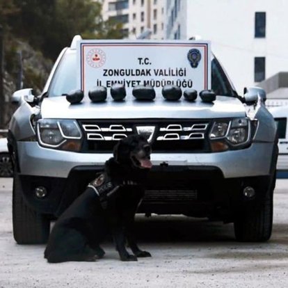 Narkotik Köpeği Dark’tan 8 Kiloluk Esrar Vurgunu!