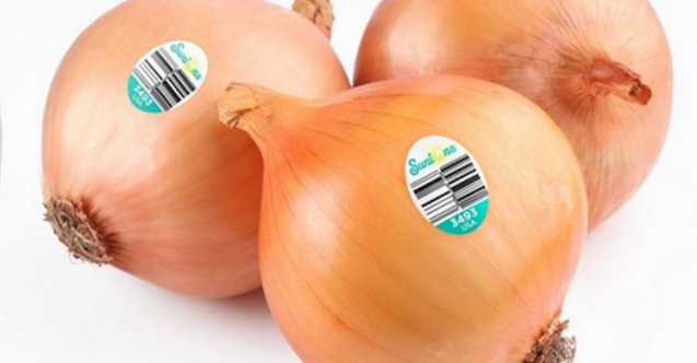 Göz Yaşartmayan Soğan Satışa Sunuldu