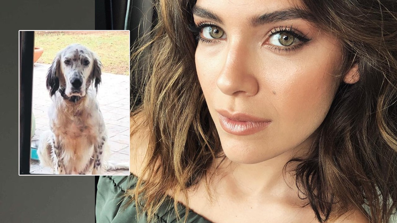 Biran Damla Köpeği İçin Yardım İstedi