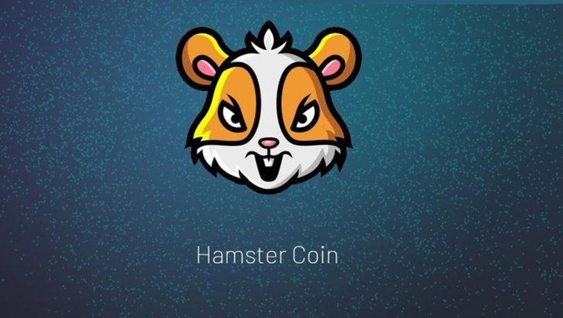 Türk Yatırımcıların Odağındaki Hamstercoin Saldırıya Uğradı