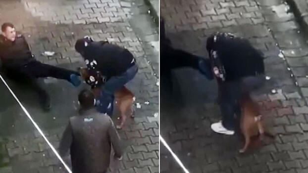 Güngören’de Pitbull Dehşeti!