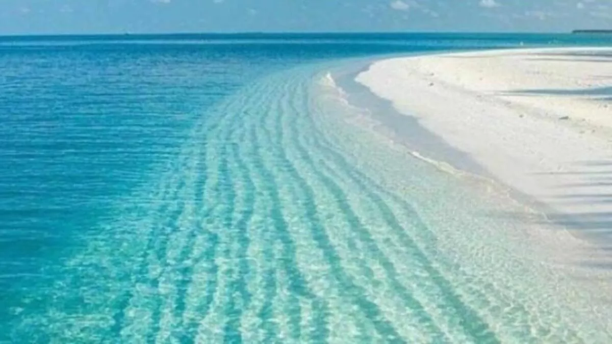 Salda Gölü Bataklığa Dönüştü İddialarına Yanıt!