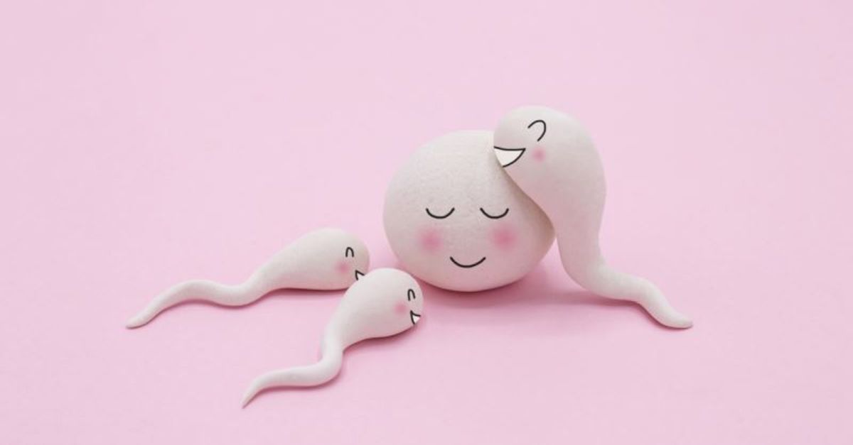 Kadınların Yumurtlama Evresinden Sonra Daha Cömert Olduğu Ortaya Çıktı