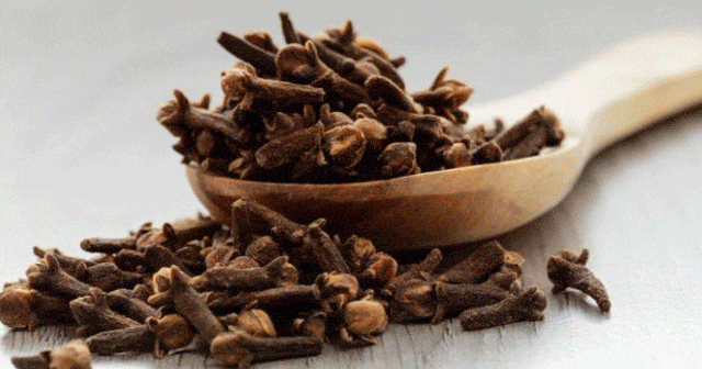 İshal Kesen Mucizevi Karanfil Kürü