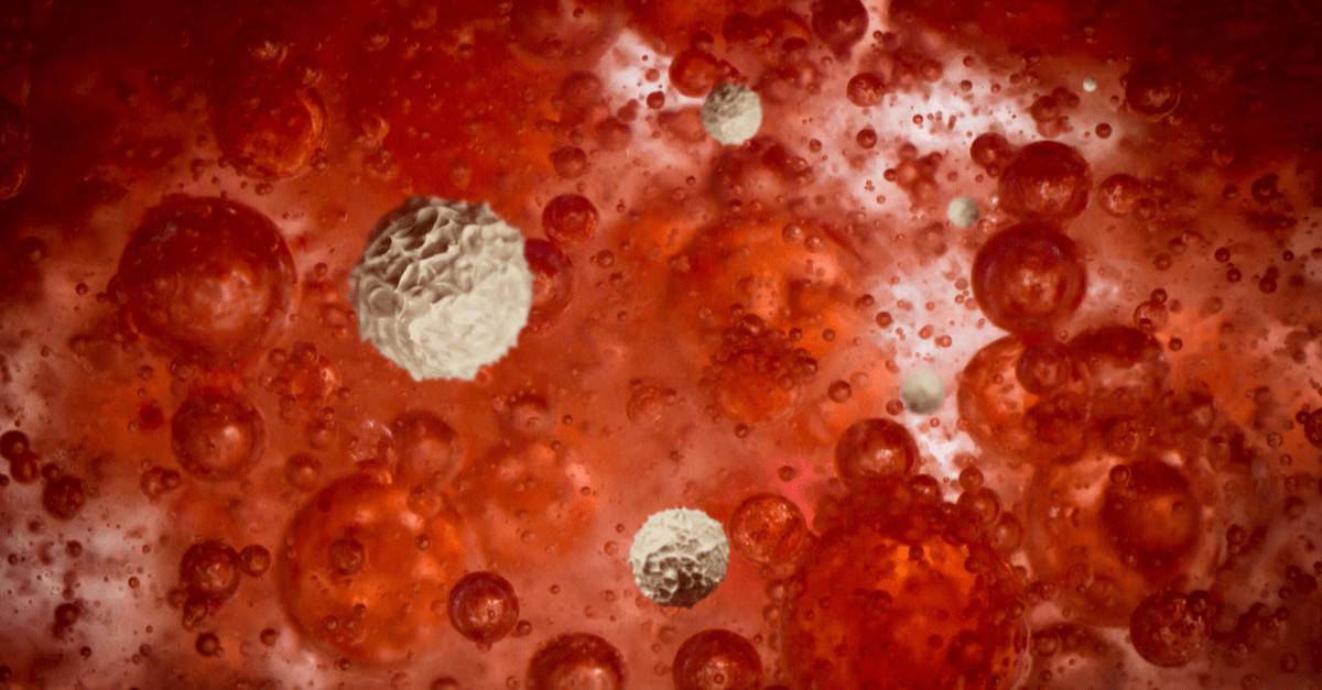 WBC Nedir? WBC Yüksekliği Neden Olur?