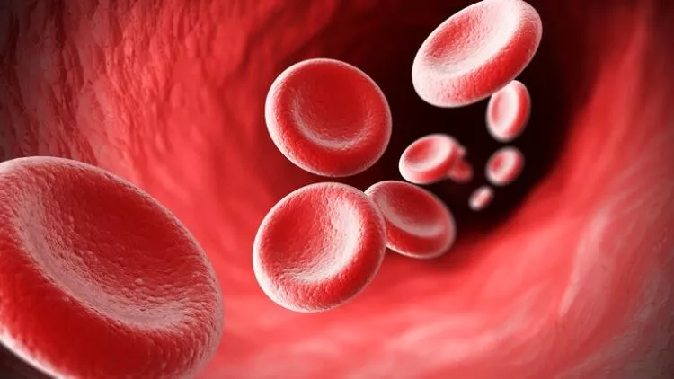 Eritrosit (RBC) Nedir?