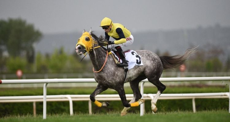 Halis Karataş Attan Düştü: Sağlık Durumu Hakkında İlk Açıklama