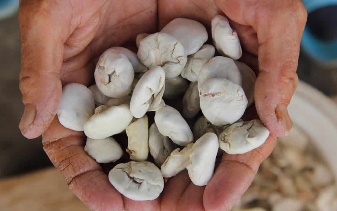 Kenger Sakızının Kilosu 500 Lira!