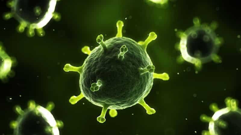 Ortaya Çıkan Yeni Virüs 1700 Kişiye Bulaştı!