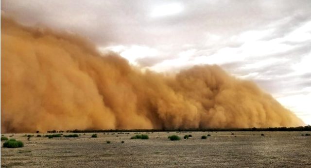 Yangınlarla Uğraşan Avustralya'da Bu Defa Başka Felaketler Baş Gösterdi!