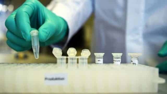 Bilim İnsanlarının Çalışmalarında Virüsün Zayıf Noktası Ortaya Çıktı!