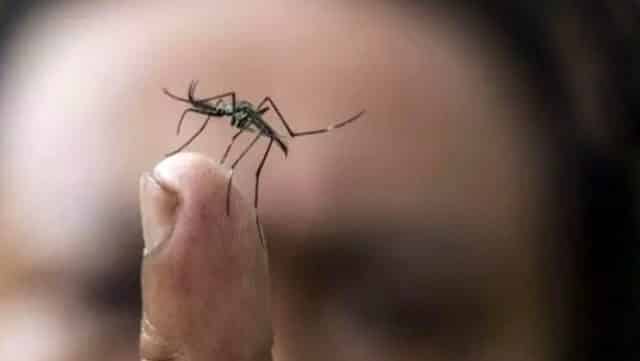 Pandemiyi Atlatan Ülkede Yeni Bir Salgın Endişesi Baş Gösterdi!