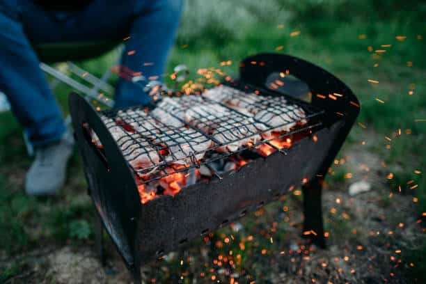 Ankara'da Ormanlarda Mangal Yakmak Yasaklandı