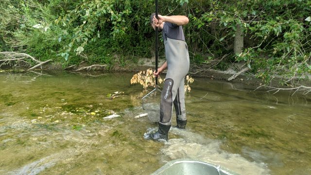 Fransa'da Tonlarca Balığın Ölümü Kapsamında Nestle'ye İlişkin Suç Duyurusu!