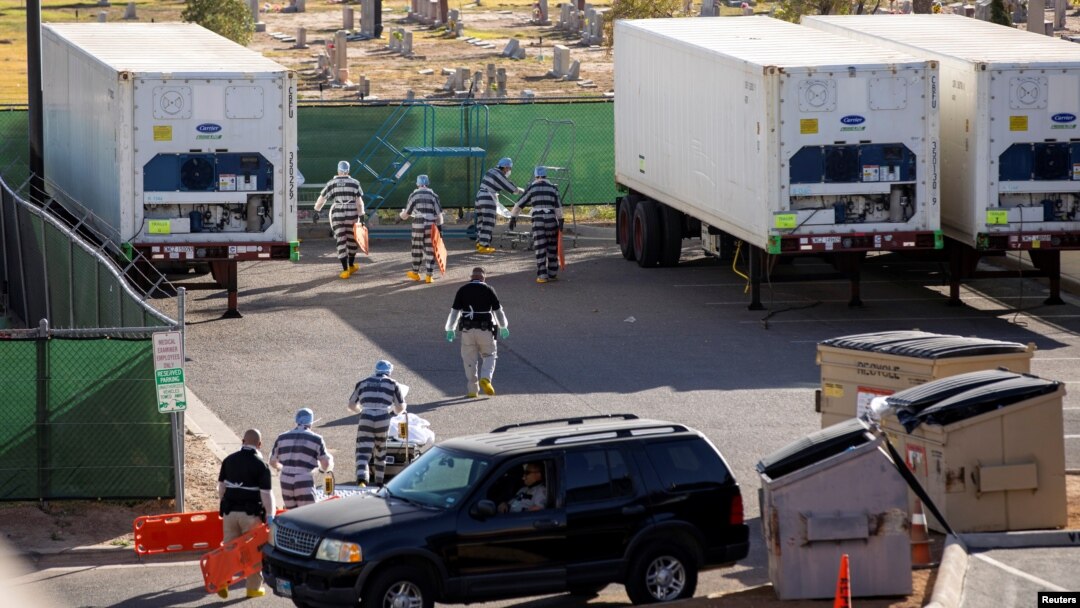 750 Ceset 1 Yıldır Soğutucu Kamyonlarda Bekletiliyor!