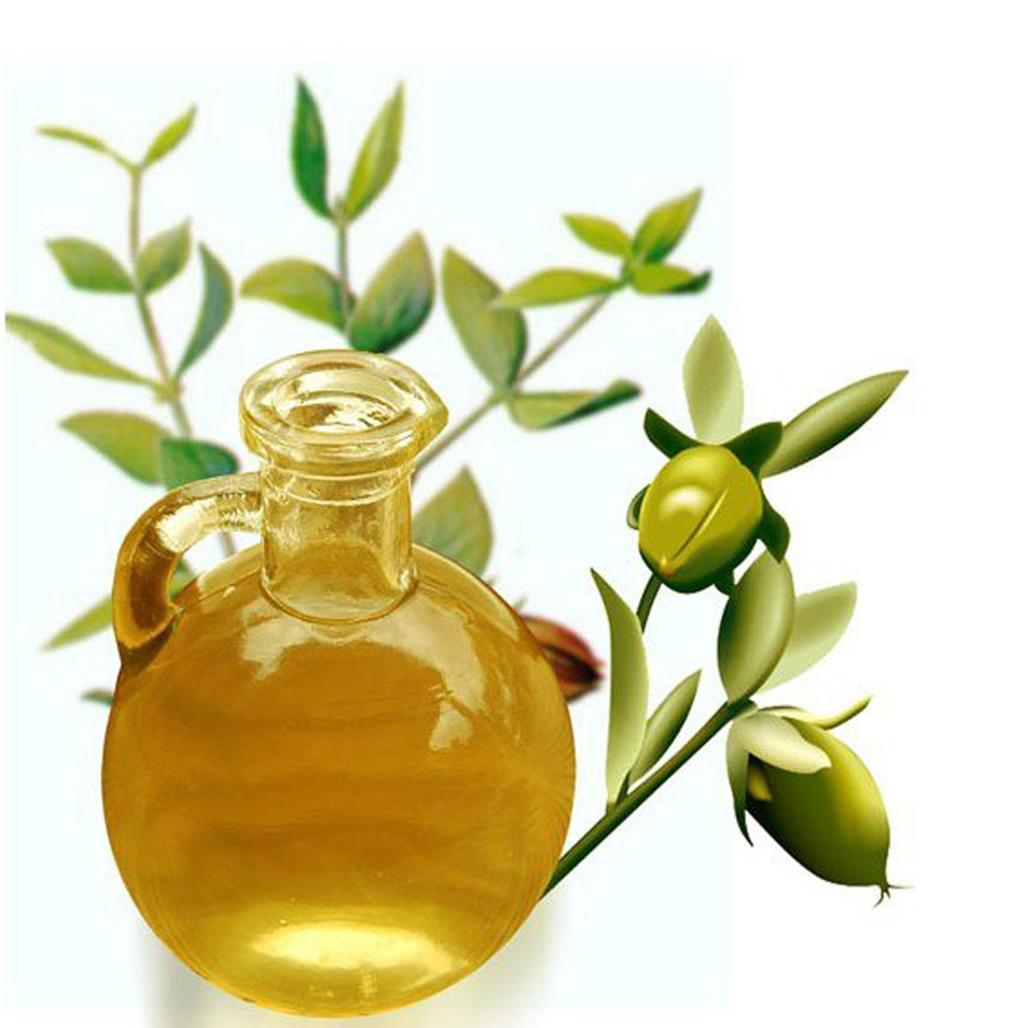 Jojoba Yağı Ne İçin Kullanılır? Jojoba Yağının Yararları
