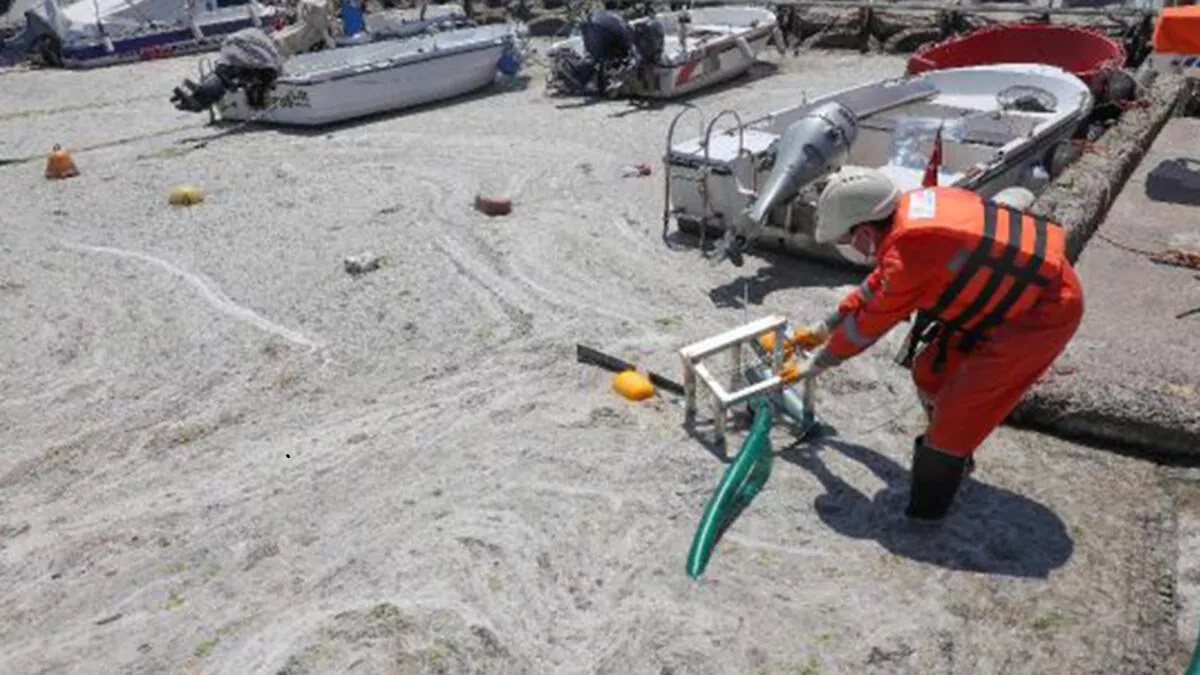 Marmara Denizi Bilim ve Teknik Kurulu’nun İlk Toplantısı Yarın