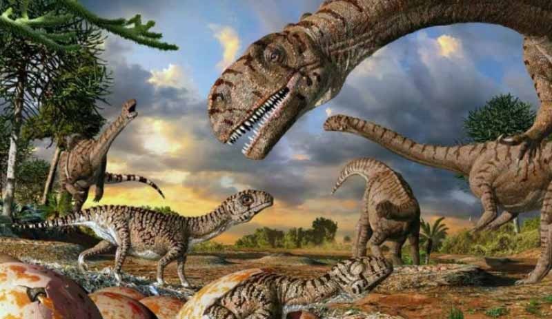 Dünya Tarihi Boyunca Meydana Gelen 5 Kitlesel Yok Oluş Olayı