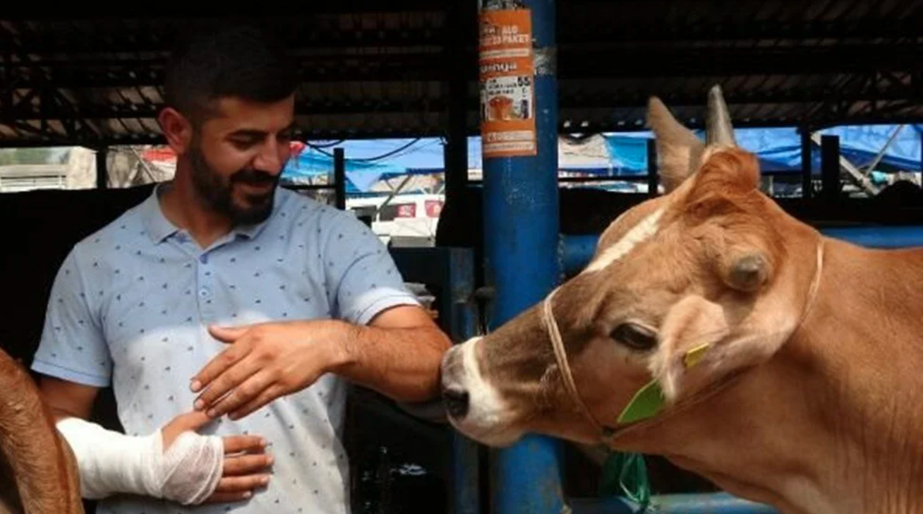 Kurban Pazarlığı Kolunun Çatlamasına Neden Oldu!