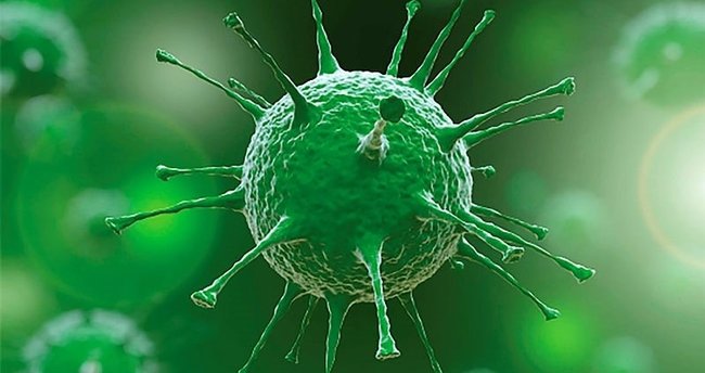 Çin Virüsün Kaynağının Araştırılma Talebini Reddetti