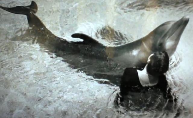 Eğitmen Kadın, Yunus Balığıyla Cinsel İlişkiye Girdiğini İtiraf Etti