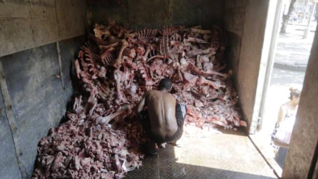 Açlık Sorununun Yaşandığı Brezilya’da Halk Hayvan Leşlerine Hücum Etti!