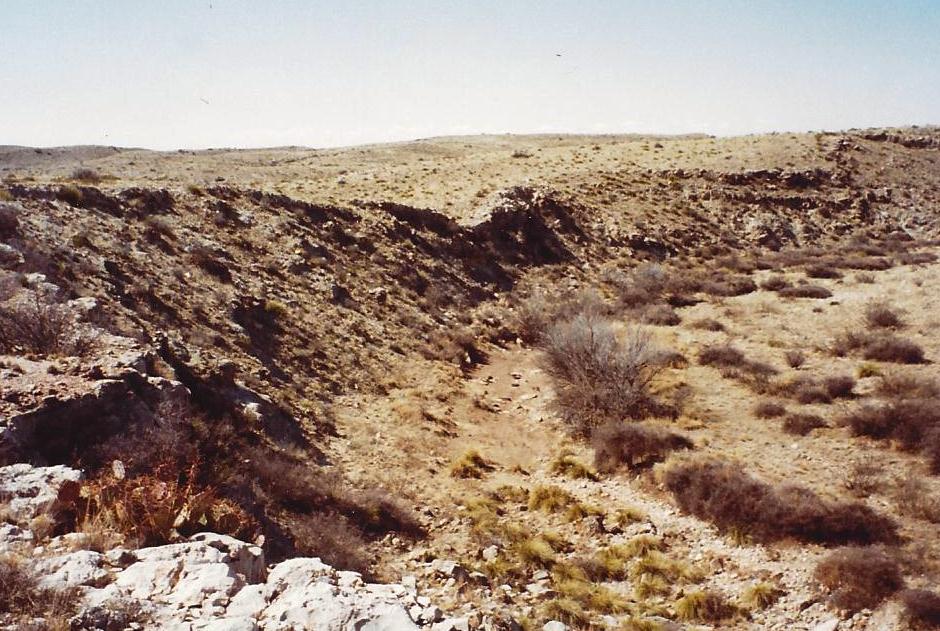 Şok İtiraf! Bilim İnsanı Roswell'de Uzaylı Bulunduğunu Açıkladı