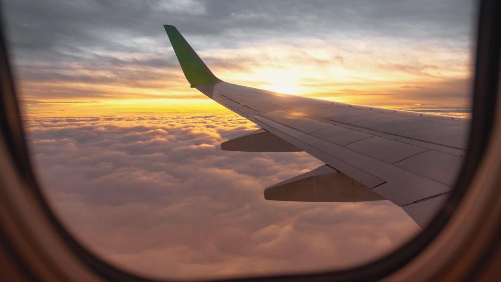 THY ve Pegasus’tan Ukrayna Uçuşlarını Durdurma Kararı