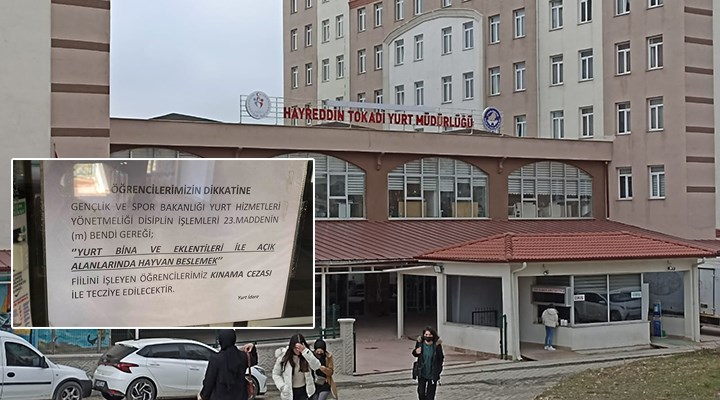 Sokak Hayvanlarını Besleyen Öğrencilere Ceza