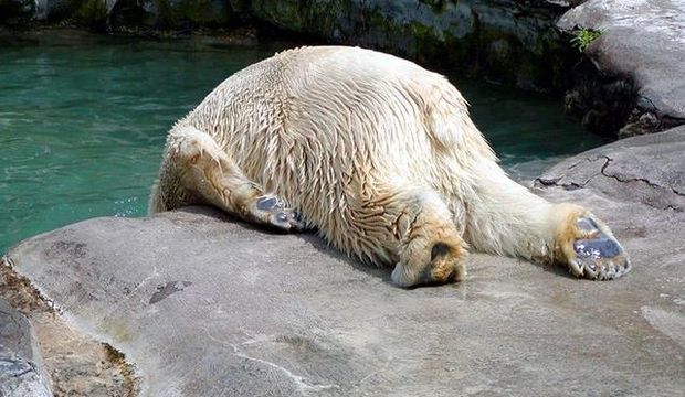 Akşamdan Kalma Durumu Yaşla Beraber Şiddetleniyor