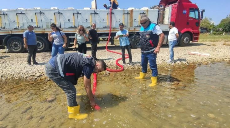 Bursa’da 2,5 Milyon Sazan Yavrusu Göllere Bırakıldı